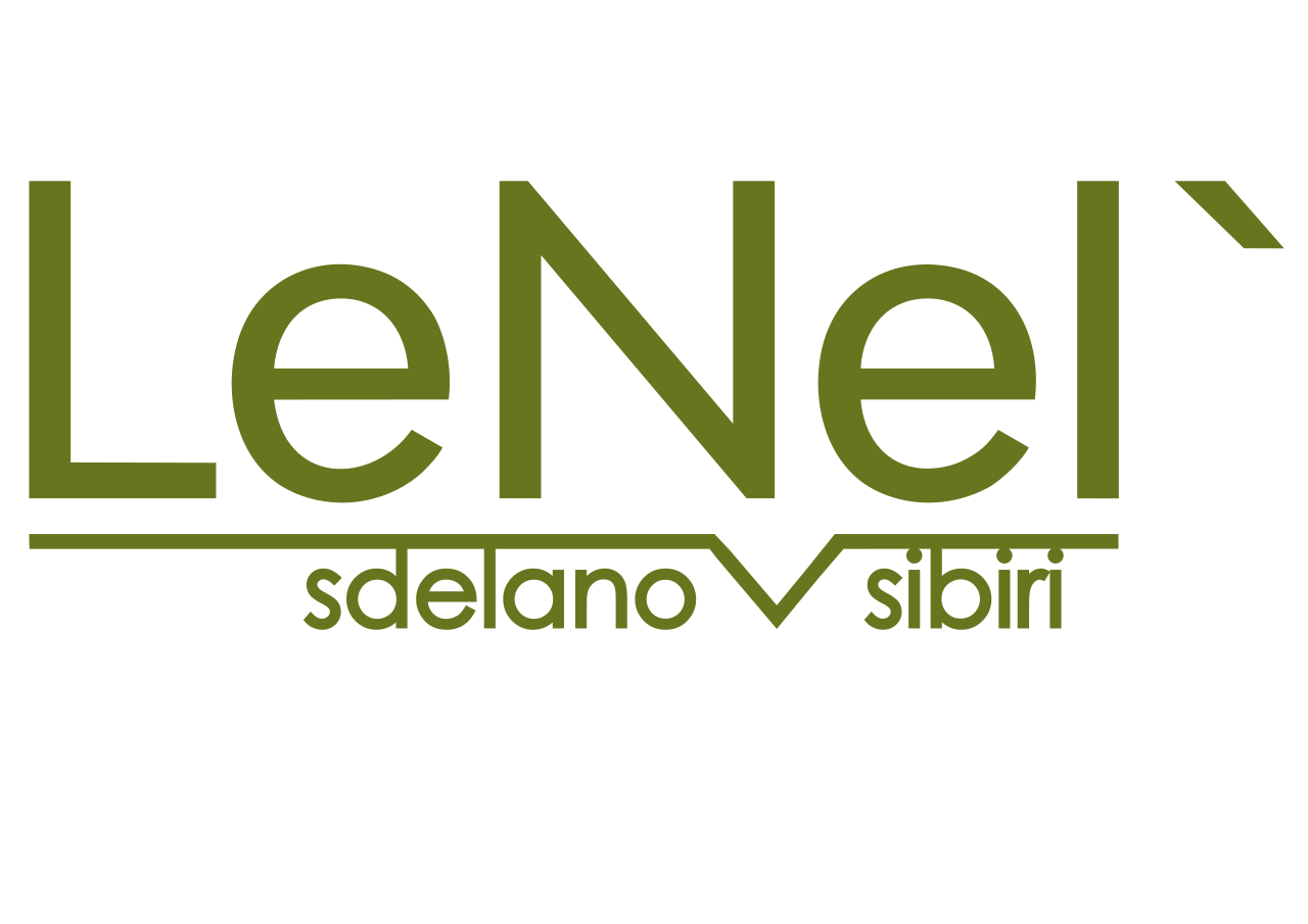 LeNeL':sdelanovsibiri